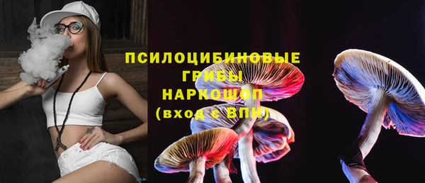 соль курить ск Каменка