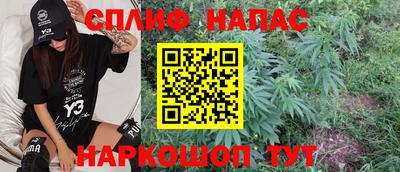 гидра Гусиноозёрск