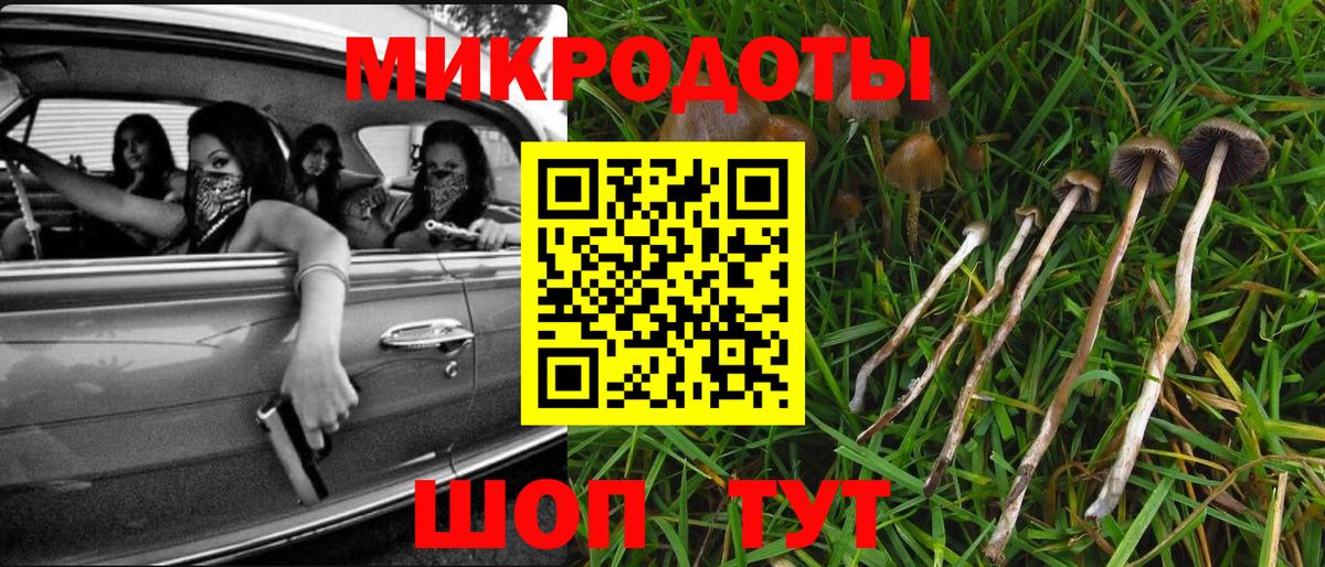 цена наркотик  Галлюциногенные грибы мицелий  Вход с VPN  Кимовск 